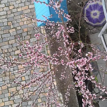 Appartement Cozy Loft *