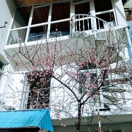 Apartment Cozy Loft *